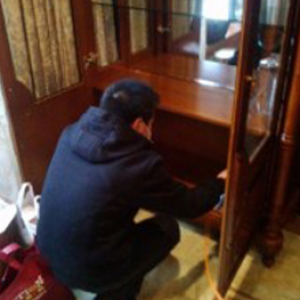 成都中海国际林汀别墅