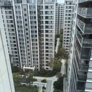 远达 、麓湖云邸除甲醛